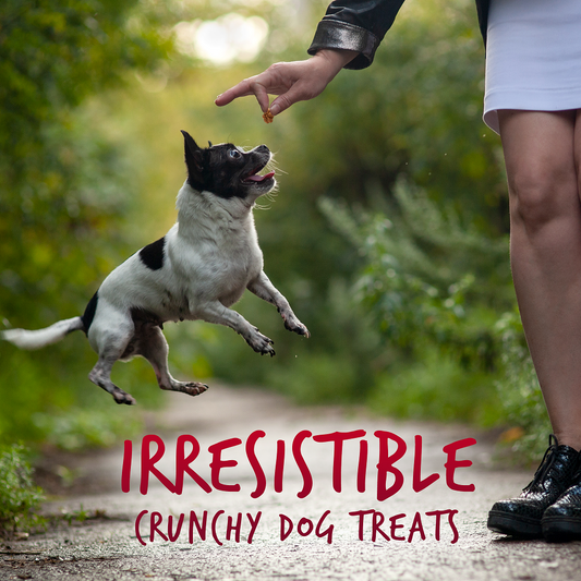 FRTABLE APL BCN DOG TRT ( 12 X 5 OZ   )
